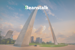 Your Guide to Web Development in St. Louis