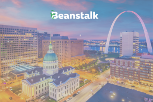 St. Louis WordPress Web Design: Tailor Your Website for St. Louis Businesses